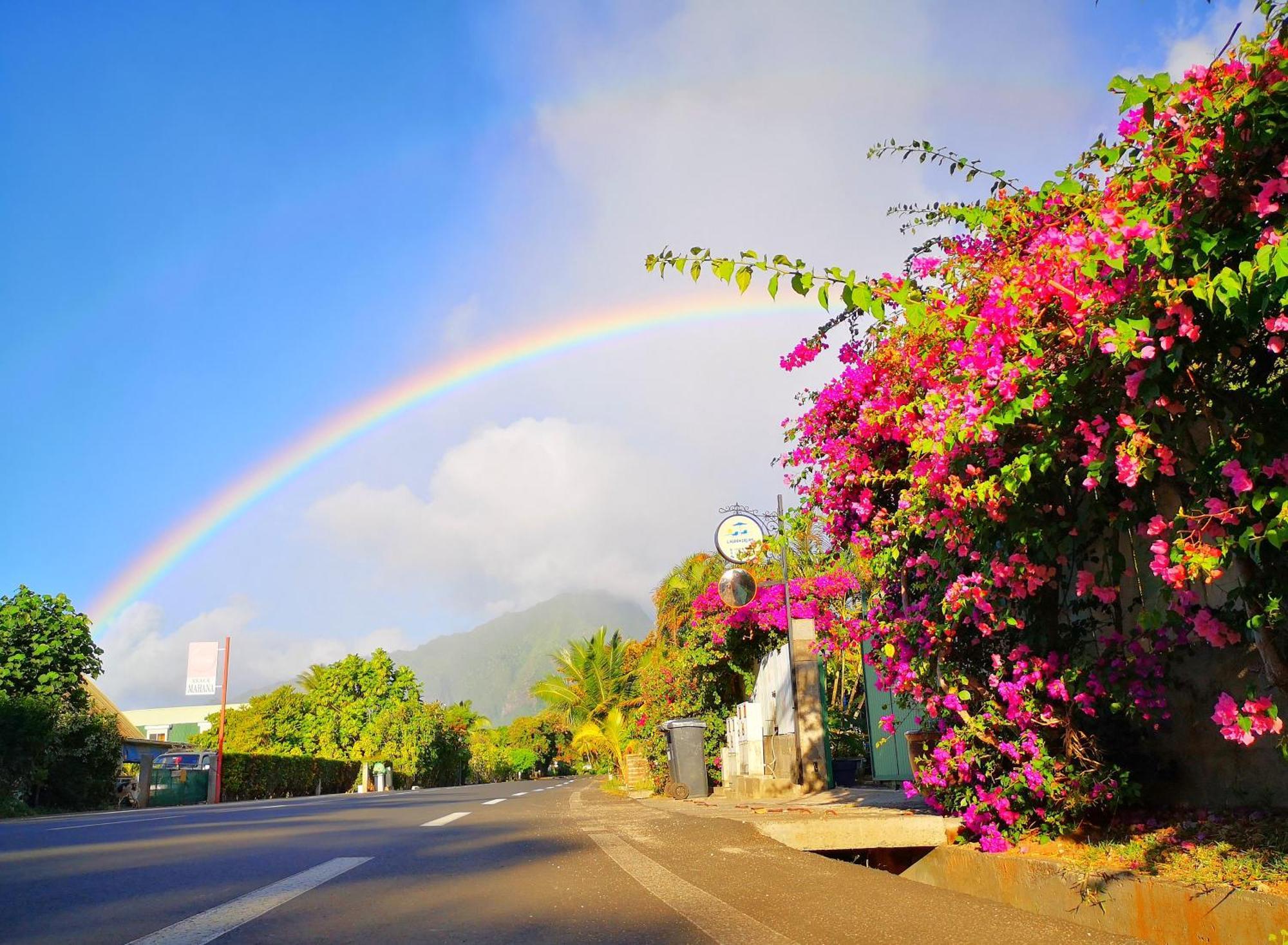 Lagoon Dream Moorea Bagian luar foto