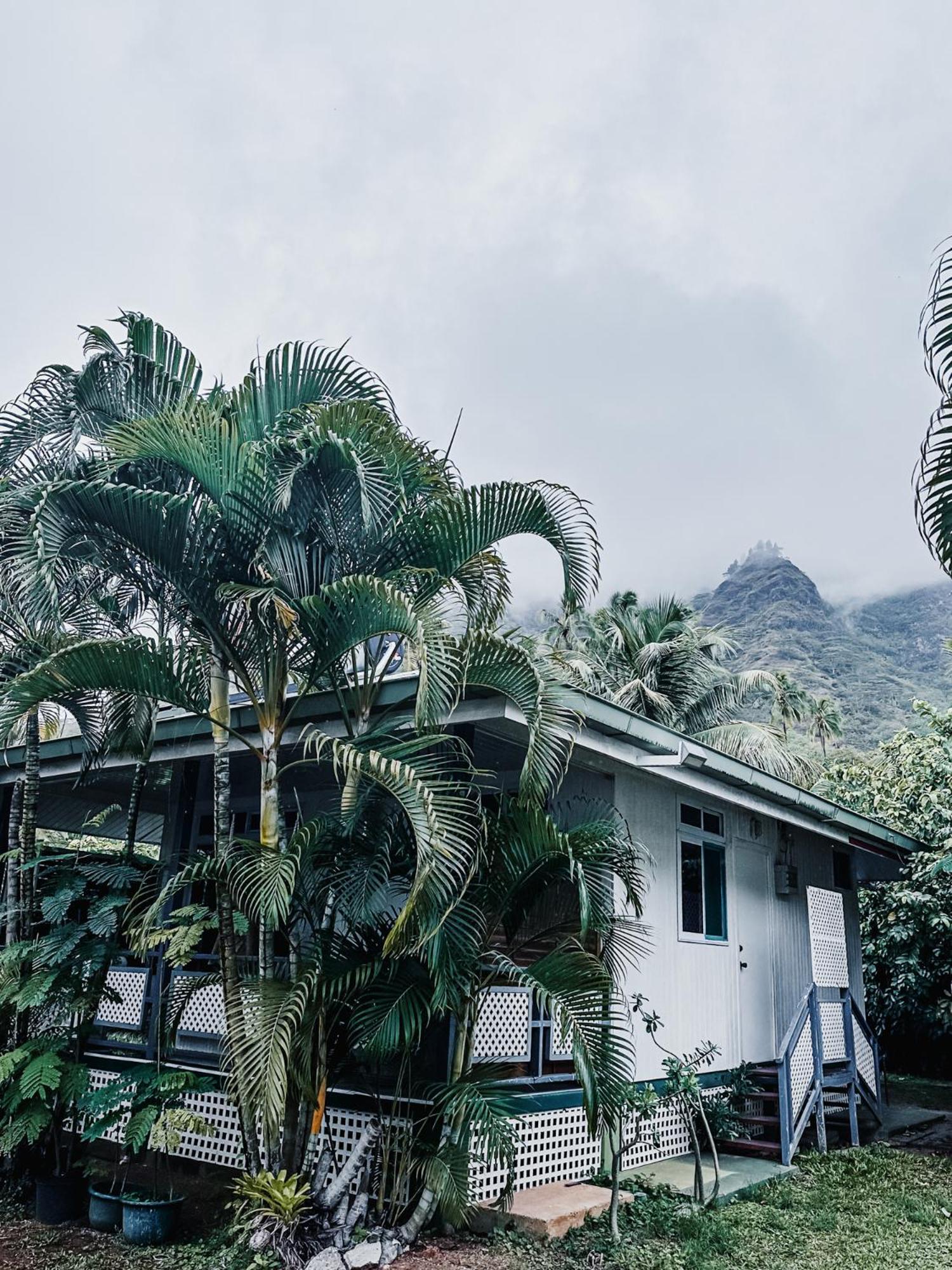 Lagoon Dream Moorea Bagian luar foto