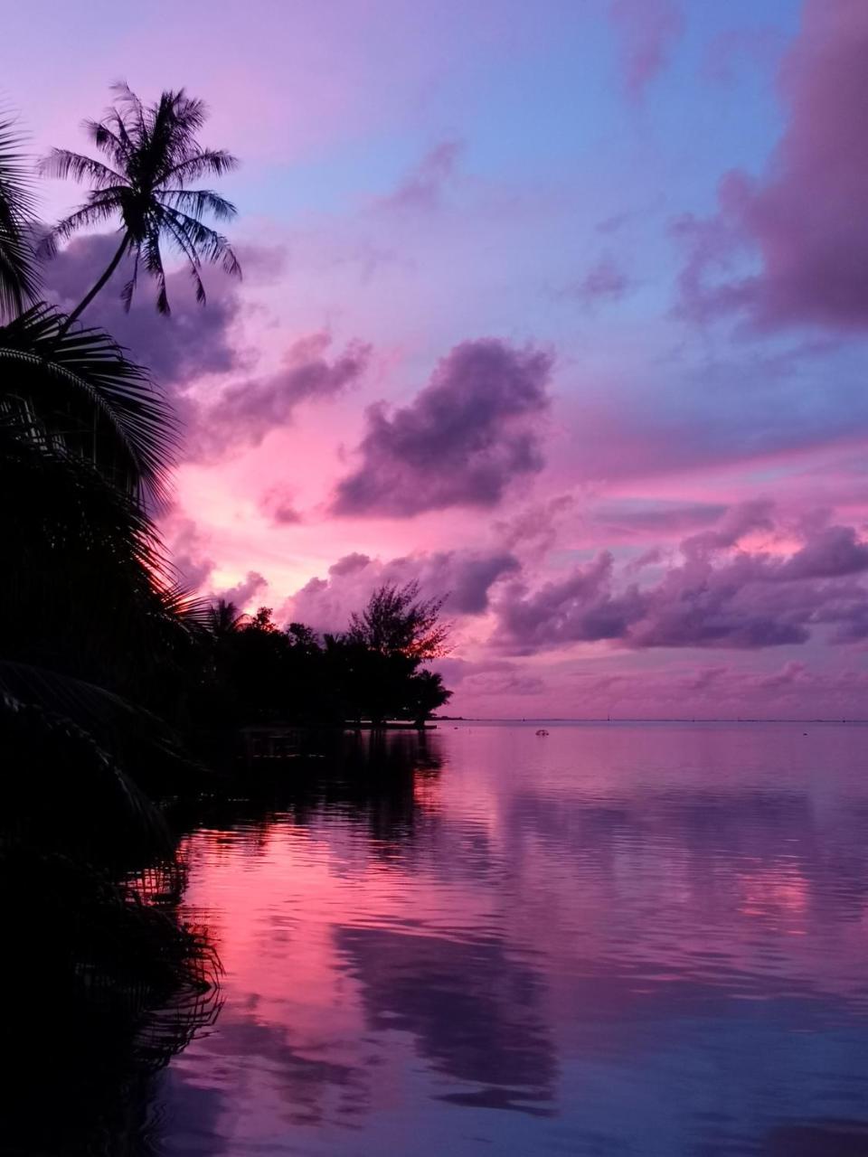 Lagoon Dream Moorea Bagian luar foto